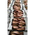 Fresh Sweet Potato Wholesale